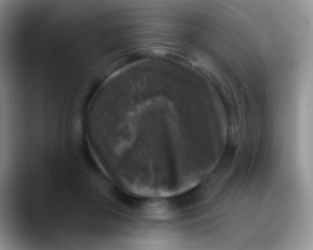 X0000089880410200707192000