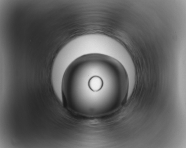 X0000089880411200707192000