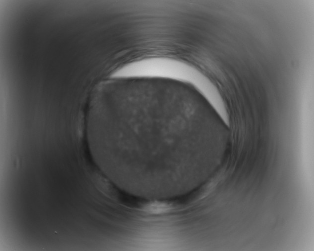 X0000089880413200707192000