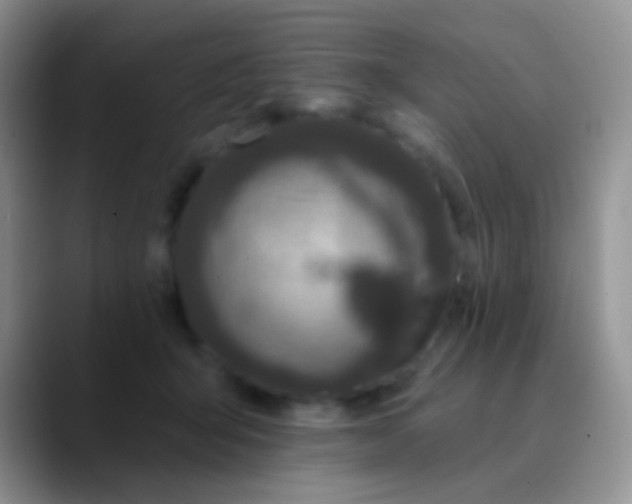 X0000089880415200707192000