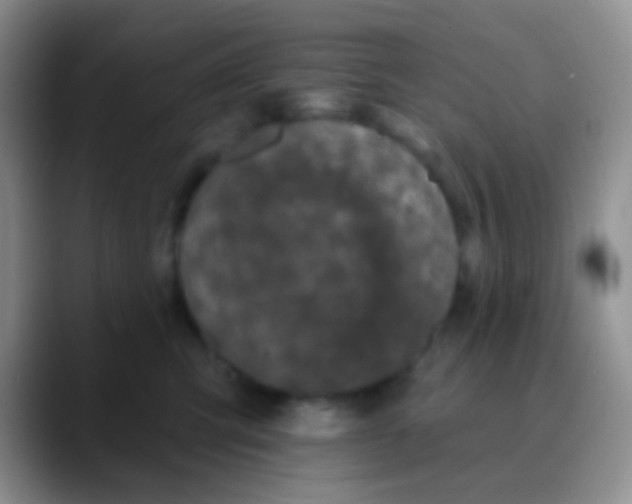 X0000089880423200707192000