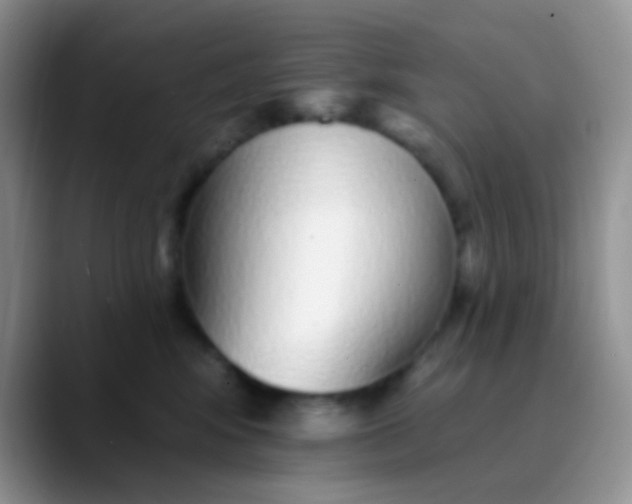 X0000089880424200707192000