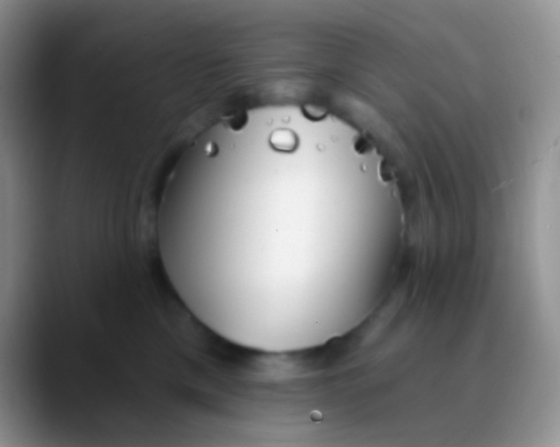 X0000089880425200707192000