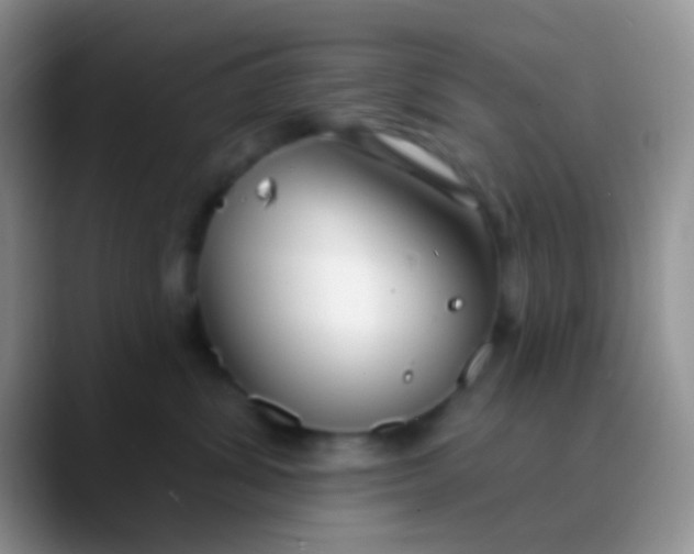 X0000089880428200707191959