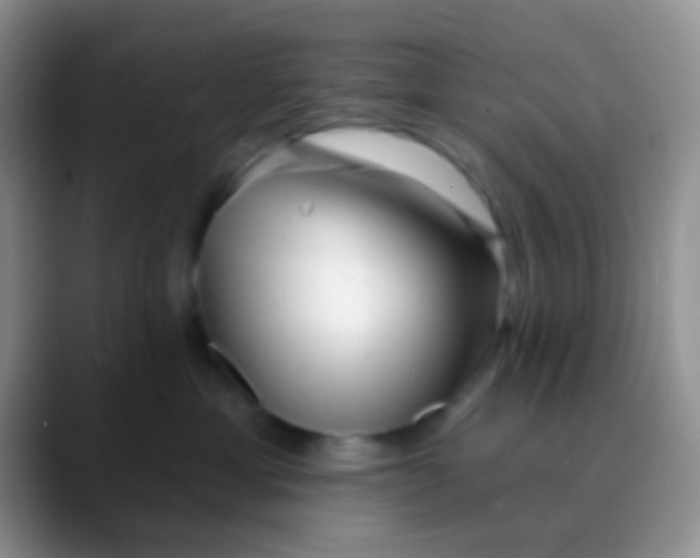 X0000089880429200707191959