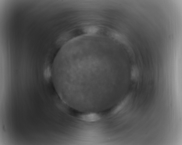 X0000089880431200707191959