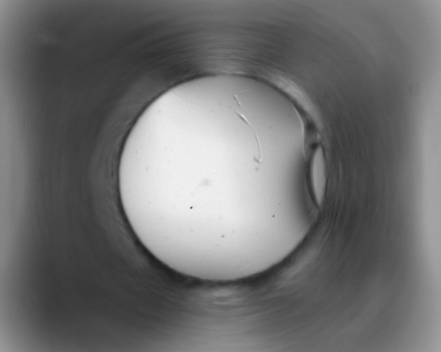 X0000089880433200707191959