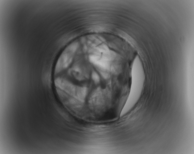 X0000089880438200707191959