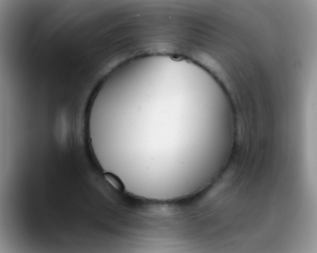 X0000089880439200707191959