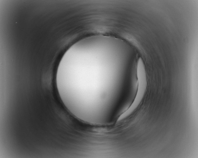 X0000089880440200707191959