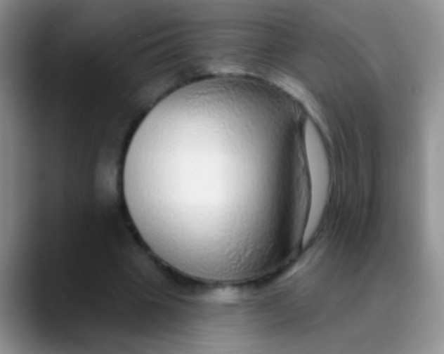 X0000089880441200707191959