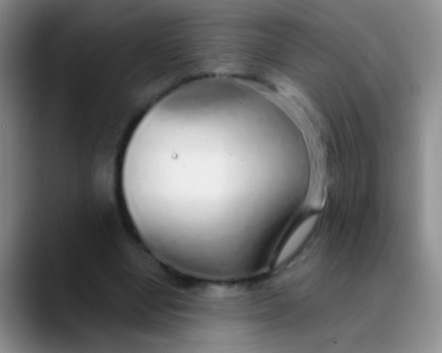 X0000089880442200707191959