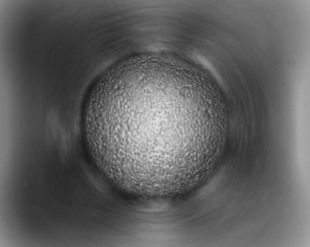 X0000089880443200707191959