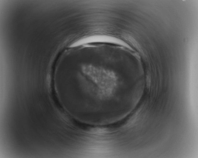 X0000089880444200707191959