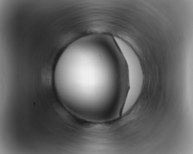 X0000089880446200707191959