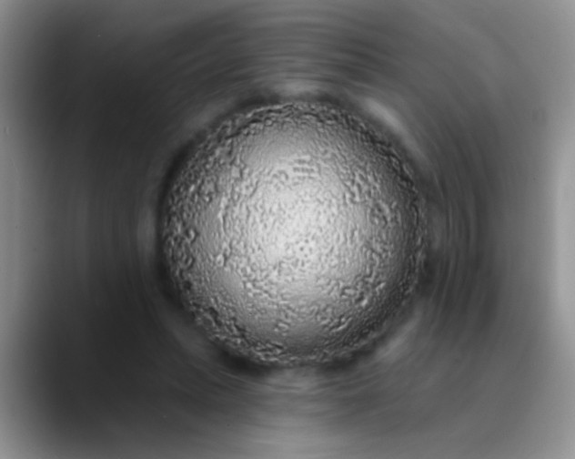 X0000089880447200707191959