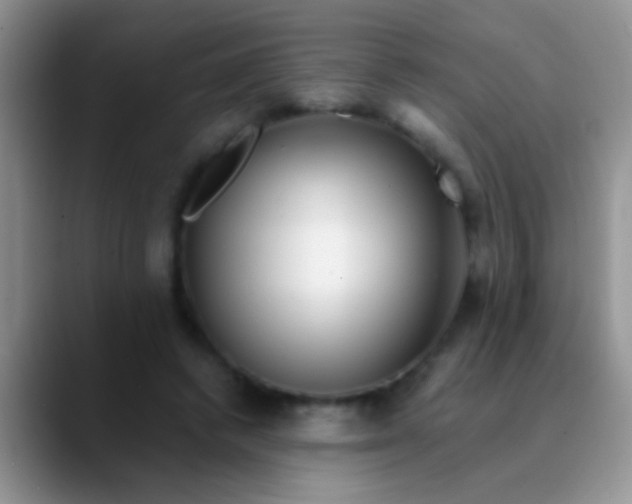 X0000089880448200707191959