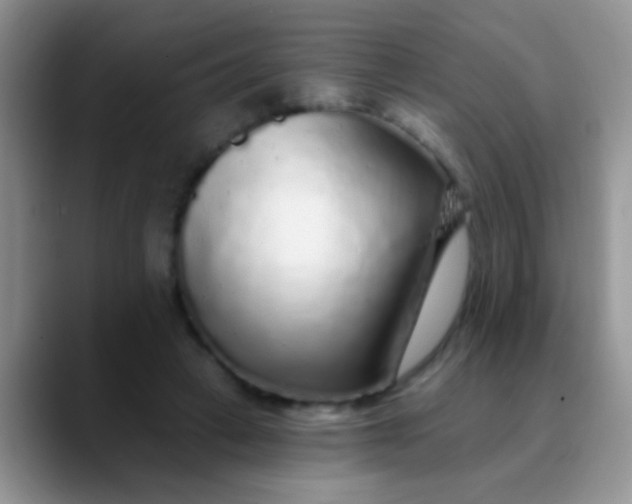 X0000089880449200707191959