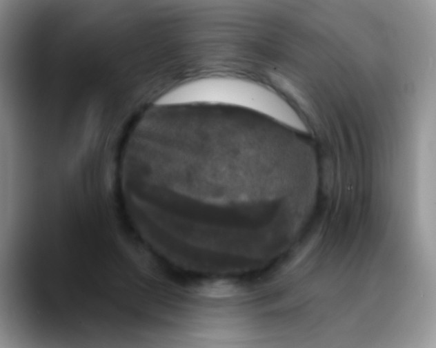 X0000089880451200707191959