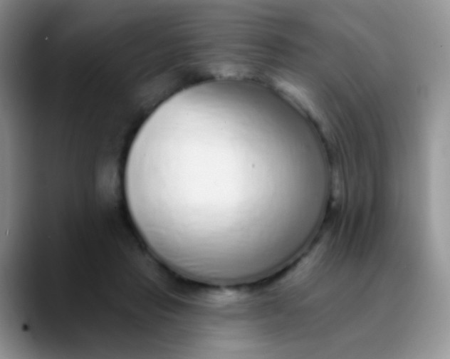 X0000089880453200707191959