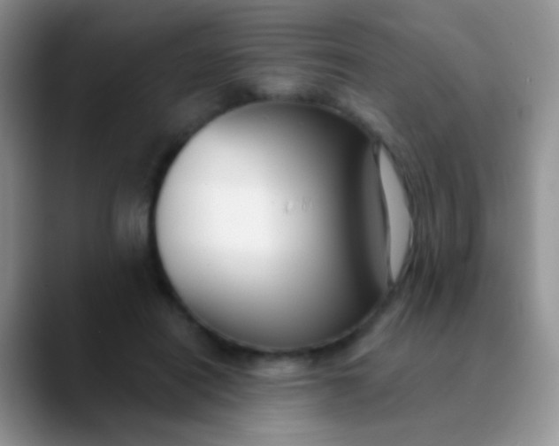 X0000089880454200707191959