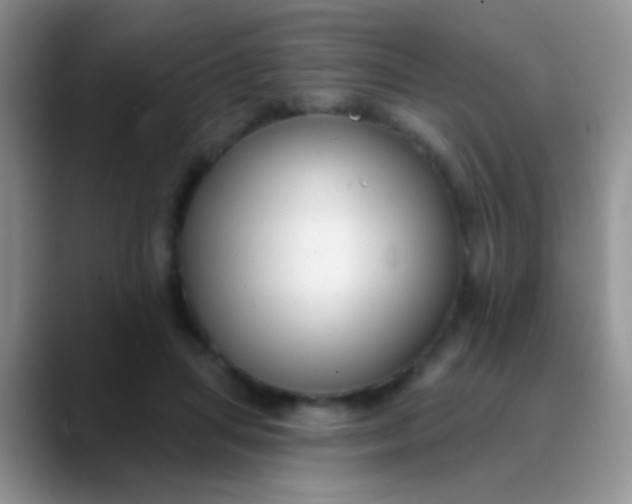 X0000089880455200707191959