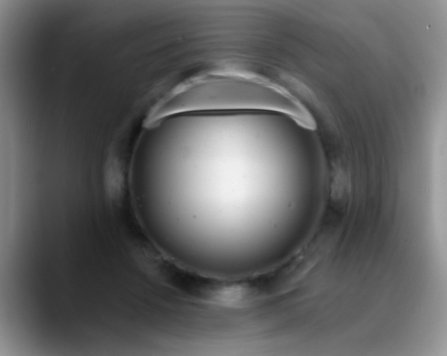 X0000089880456200707191959