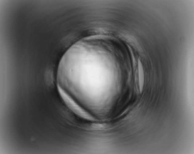 X0000089880457200707191959