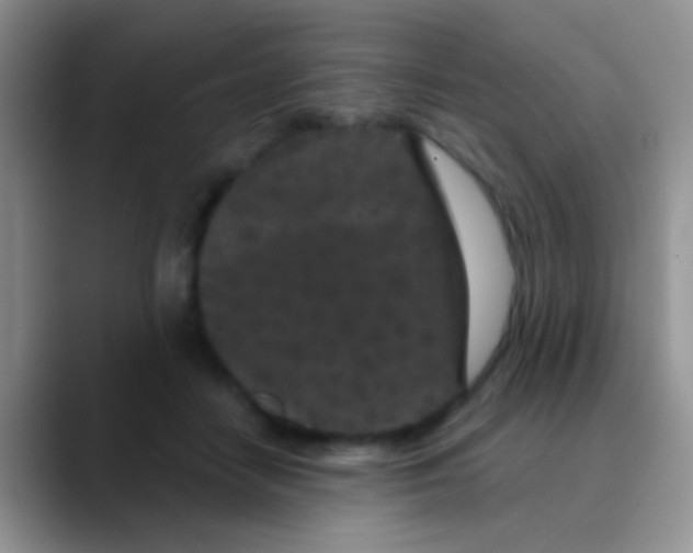 X0000089880458200707191959