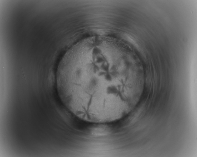 X0000089880459200707191959