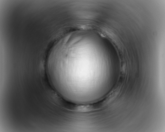 X0000089880461200707191959