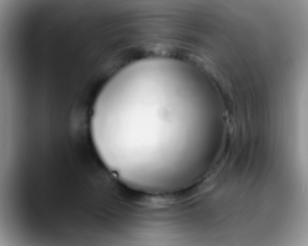 X0000089880466200707191959