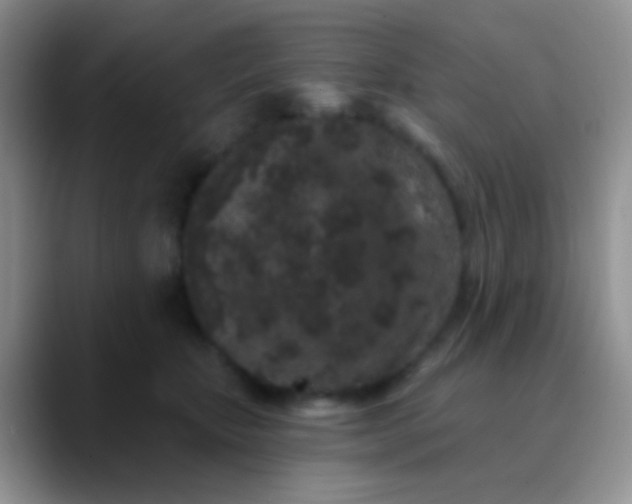 X0000089880467200707191959