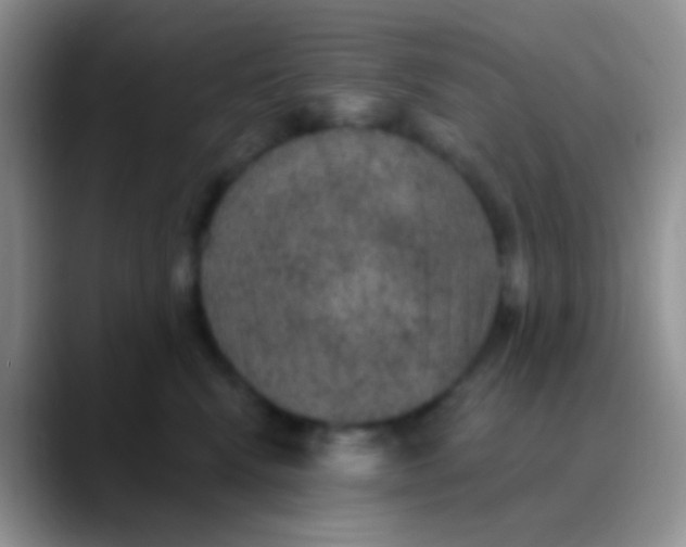 X0000089880472200707191959