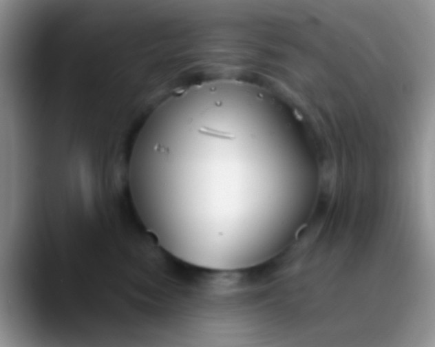 X0000089880474200707191959