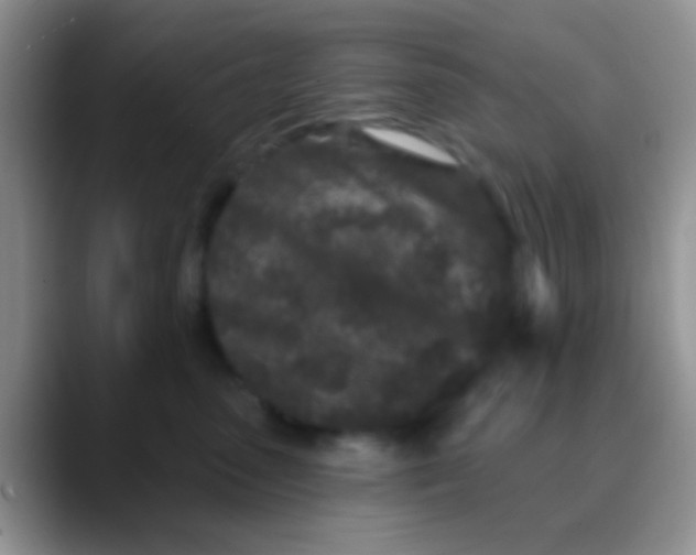 X0000089880475200707191959