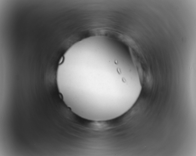 X0000089880477200707191959