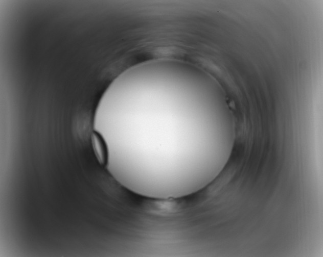 X0000089880478200707191959