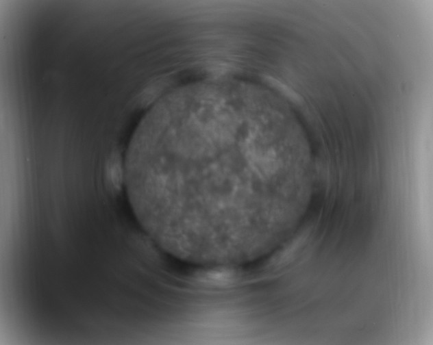 X0000089880479200707191959