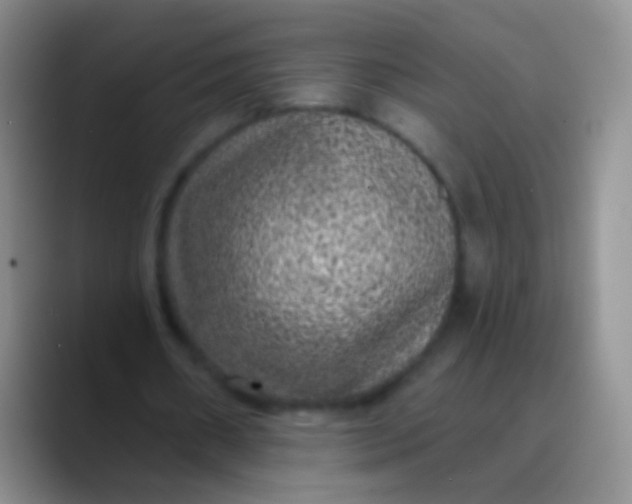 X0000089880482200707191959