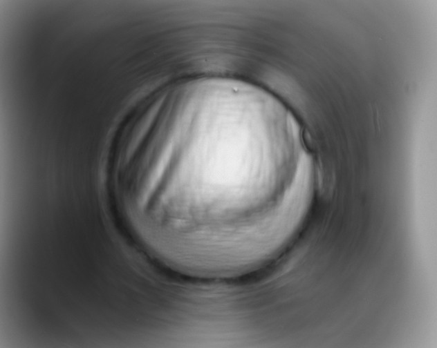 X0000089880483200707191959