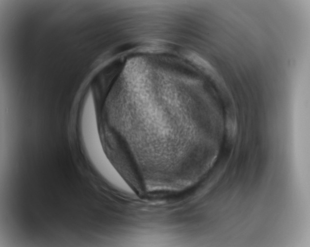 X0000089880484200707191959