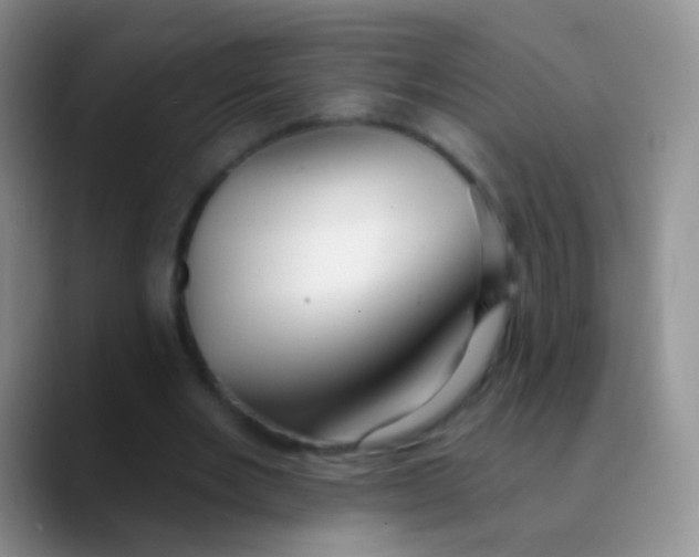 X0000089880485200707191959