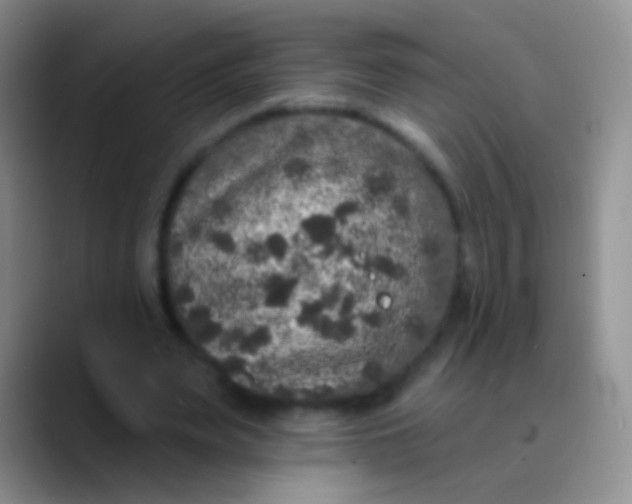 X0000089880487200707191959