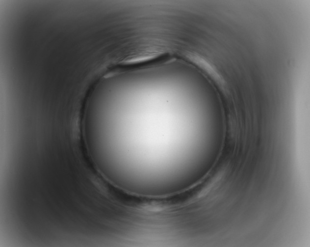 X0000089880489200707191959