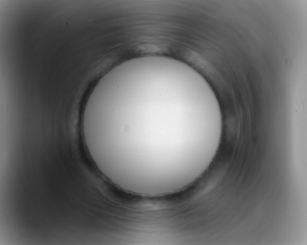 X0000089880490200707191959