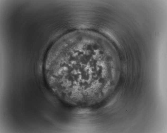 X0000089880491200707191959