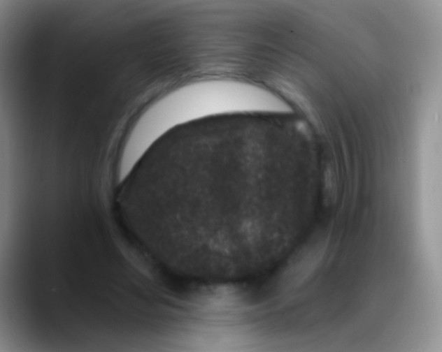 X0000089880492200707191959