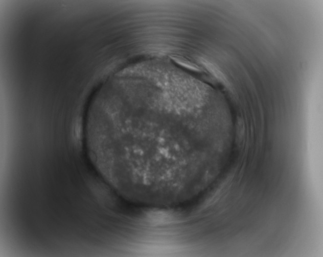 X0000089880494200707191959