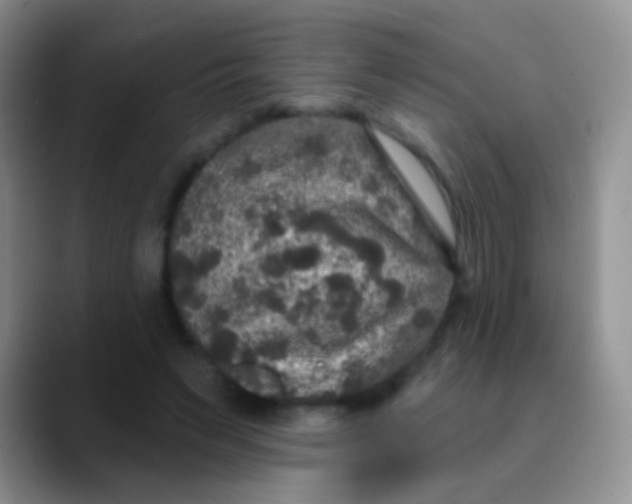 X0000089880495200707191959